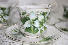 Royal Albert - Trillium Coffee Set